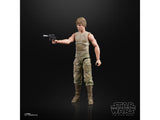 Hasbro Star Wars 40th Anniversary The Black Series 6" Wave 36 Luke Skywalker Figure