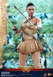 Hot Toys DC Comics Wonder Woman  (Training Armor Version) 1/6 Scale Figure