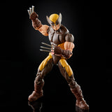 Hasbro Marvel Legends Series X-Men Wolverine Action Figure