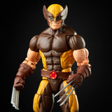 Hasbro Marvel Legends Series X-Men Wolverine Action Figure