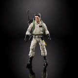 Hasbro Ghostbusters Plasma Series Wave 1 Set of 6 Figures (Terror Dog BAF)