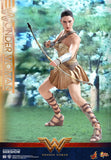 Hot Toys DC Comics Wonder Woman  (Training Armor Version) 1/6 Scale Figure