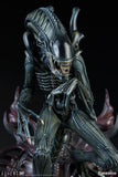 Sideshow Aliens Alien Warrior Xenomorph Statue