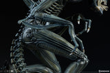 Sideshow Aliens Alien Warrior Xenomorph Statue