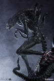 Sideshow Aliens Alien Warrior Xenomorph Statue