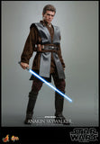 Hot Toys Star Wars Episode II: Attack of the Clones Anakin Skywalker 1/6 Scale 12" Collectible Figure