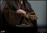 Hot Toys Star Wars Episode II: Attack of the Clones Anakin Skywalker 1/6 Scale 12" Collectible Figure