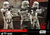 Hot Toys Star Wars Rogue One: A Star Wars Story Assault Tank Commander 1/6 Scale 12" Collectible Figure