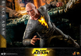 Hot Toys DC Comics Black Adam Black Adam (Deluxe Version) DX 30 1/6 Scale 12" Collectible Figure