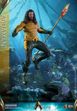 Hot Toys DC Comics Aquaman 1/6 Scale 12" Collectible Figure