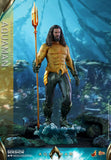 Hot Toys DC Comics Aquaman 1/6 Scale 12" Collectible Figure