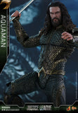 Hot Toys DC Comics Justice League Aquaman 1/6 Scale Figure