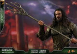 Hot Toys DC Comics Justice League Aquaman 1/6 Scale Figure