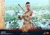 Hot Toys DC Comics Wonder Woman  (Training Armor Version) 1/6 Scale Figure
