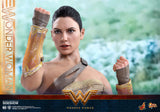 Hot Toys DC Comics Wonder Woman  (Training Armor Version) 1/6 Scale Figure