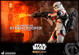 Hot Toys Star Wars The Mandalorian - Television Masterpiece Series Incinerator Stormtrooper 1/6 Scale Collectible Figure