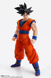 Bandai Tamashii Nations Imagination Works Dragon Ball Z Goku 1/9 Scale 7" Action Figure