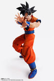 Bandai Tamashii Nations Imagination Works Dragon Ball Z Goku 1/9 Scale 7" Action Figure