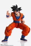 Bandai Tamashii Nations Imagination Works Dragon Ball Z Goku 1/9 Scale 7" Action Figure