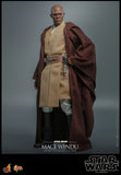 Hot Toys Star Wars Episode II: Attack of the Clones Mace Windu 1/6 Scale 12" Collectible Figure