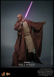 Hot Toys Star Wars Episode II: Attack of the Clones Mace Windu 1/6 Scale 12" Collectible Figure