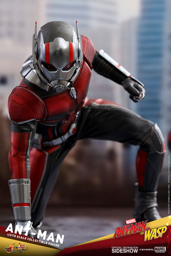Hot Toys Marvel Ant-Man and The Wasp Ant-Man 1/6 Scale Figure