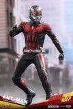 Hot Toys Marvel Ant-Man and The Wasp Ant-Man 1/6 Scale Figure