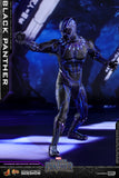 Hot Toys Marvel Black Panther Black Panther 1/6 Scale 12" Figure