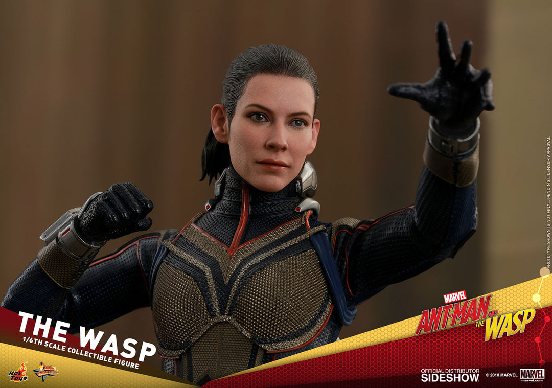 Ant-Man - Ant-Man and the Wasp - Hot Toys 1/6 Scale Figure