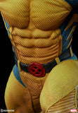 Sideshow Marvel Comics X-Men Wolverine Premium Format Figure Statue