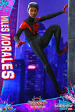 Hot Toys Marvel Comics Spider-Man: Into the Spider-Verse Miles Morales 1/6 Scale Collectible Figure