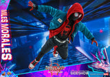 Hot Toys Marvel Comics Spider-Man: Into the Spider-Verse Miles Morales 1/6 Scale Collectible Figure