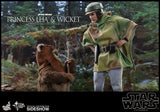 Hot Toys Star Wars Episode VI Return of The Jedi Princess Leia & Ewok Wicket 1/6 Scale Figure Set