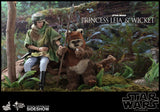 Hot Toys Star Wars Episode VI Return of The Jedi Princess Leia & Ewok Wicket 1/6 Scale Figure Set