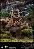 Hot Toys Star Wars Episode VI Return of The Jedi Princess Leia & Ewok Wicket 1/6 Scale Figure Set