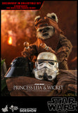 Hot Toys Star Wars Episode VI Return of The Jedi Princess Leia & Ewok Wicket 1/6 Scale Figure Set