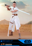 Hot Toys Star Wars Episode IX The Rise of Skywalker Rey & D-O 1/6 Scale Collectible Figure Set