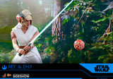 Hot Toys Star Wars Episode IX The Rise of Skywalker Rey & D-O 1/6 Scale Collectible Figure Set