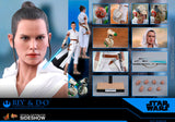 Hot Toys Star Wars Episode IX The Rise of Skywalker Rey & D-O 1/6 Scale Collectible Figure Set