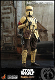 Hot Toys Star Wars The Mandalorian - Television Masterpiece Series Shoretrooper 1/6 Scale 12" Collectible Figure