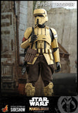 Hot Toys Star Wars The Mandalorian - Television Masterpiece Series Shoretrooper 1/6 Scale 12" Collectible Figure