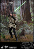 Hot Toys Star Wars Episode VI Return of the Jedi Luke Skywalker (Deluxe Version) 1/6 Scale 12" Collectible Figure