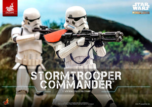 Hot Toys Star Wars The Mandalorian Stormtrooper Commander Exclusive 1/6 Scale 12" Collectible Figure