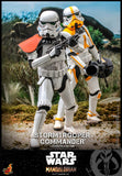 Hot Toys Star Wars The Mandalorian Stormtrooper Commander Exclusive 1/6 Scale 12" Collectible Figure