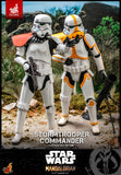 Hot Toys Star Wars The Mandalorian Stormtrooper Commander Exclusive 1/6 Scale 12" Collectible Figure