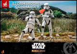Hot Toys Star Wars The Mandalorian Stormtrooper Commander Exclusive 1/6 Scale 12" Collectible Figure
