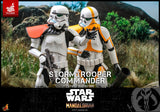 Hot Toys Star Wars The Mandalorian Stormtrooper Commander Exclusive 1/6 Scale 12" Collectible Figure