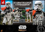 Hot Toys Star Wars The Mandalorian Stormtrooper Commander Exclusive 1/6 Scale 12" Collectible Figure
