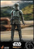 Hot Toys Star Wars The Mandalorian - Television Masterpiece Series Transport Trooper 1/6 Scale Collectible Figure