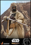 Hot Toys Star Wars The Mandalorian - Television Masterpiece Series Tusken Raider 1/6 Scale 12" Collectible Figure